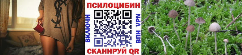 OMG ссылка Петухово Псилоцибиновые грибы прущие грибы